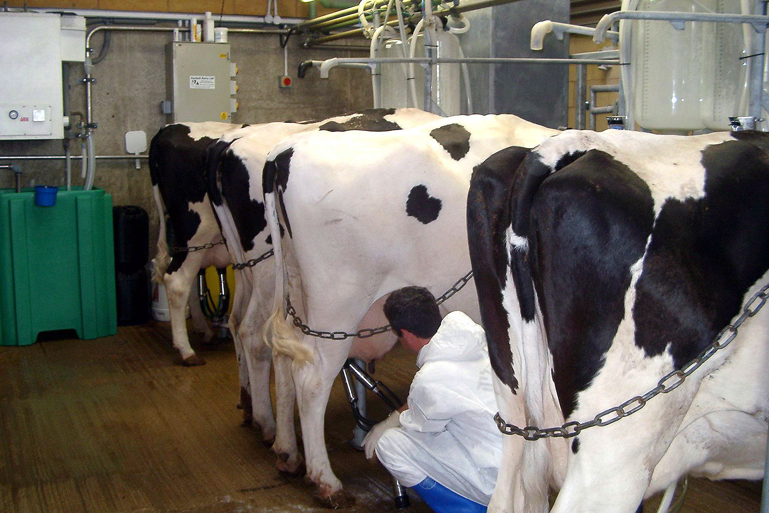 Farm Animal CRO Facilities Drayton Animal Health