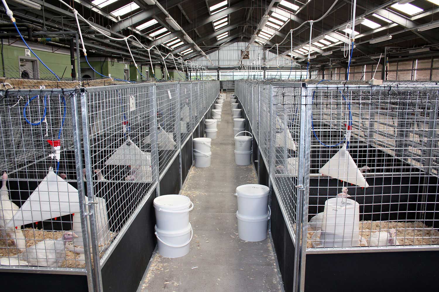 Farm Animal CRO Facilities Drayton Animal Health