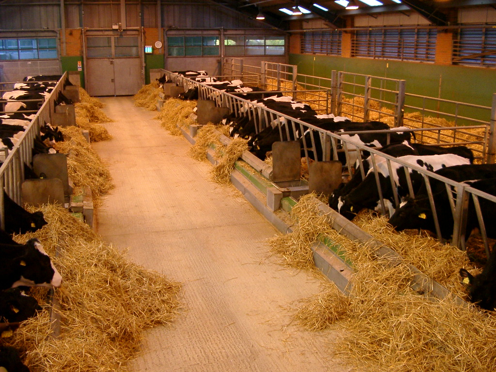 Farm Animal CRO Facilities Drayton Animal Health